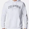 Trui Columbia Men's CSC Basic Logo II Hoodie White -Columbia 1 273