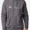 Trui Columbia Men's CSC Basic Logo II Hoodie City Grey Heather -Columbia 520 20kopie