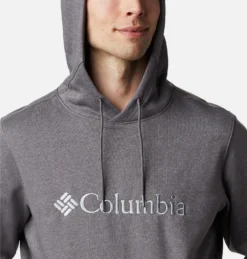 Trui Columbia Men's CSC Basic Logo II Hoodie City Grey Heather -Columbia 8 115